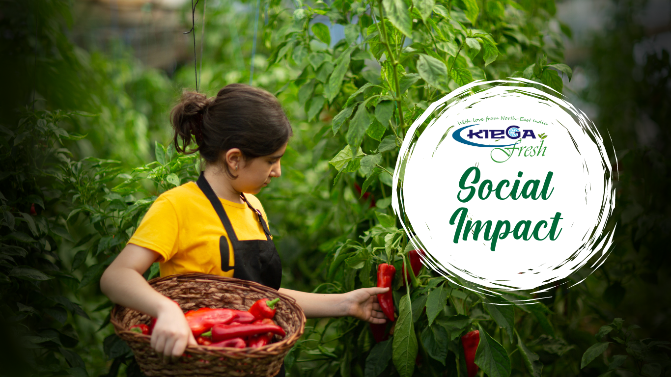 Social Imapact header Image